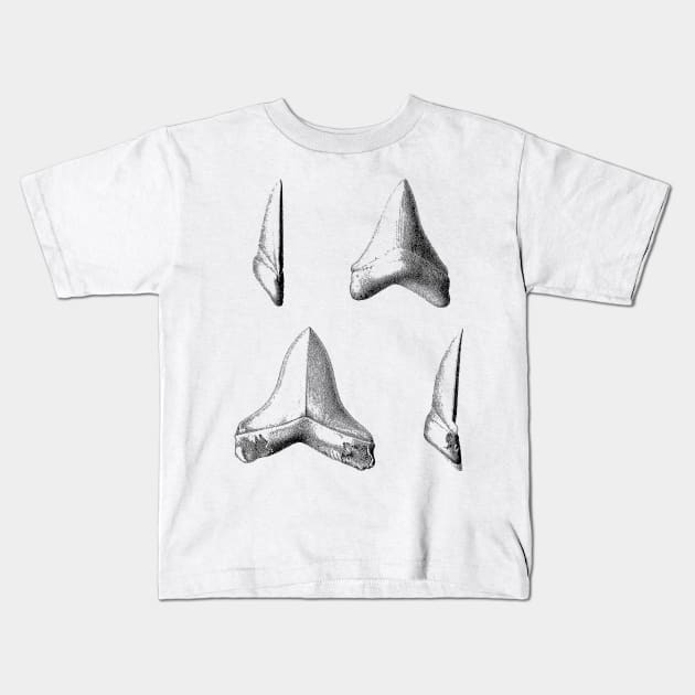Shark Teeth | Great White Megalodon Fossils Kids T-Shirt by encycloart